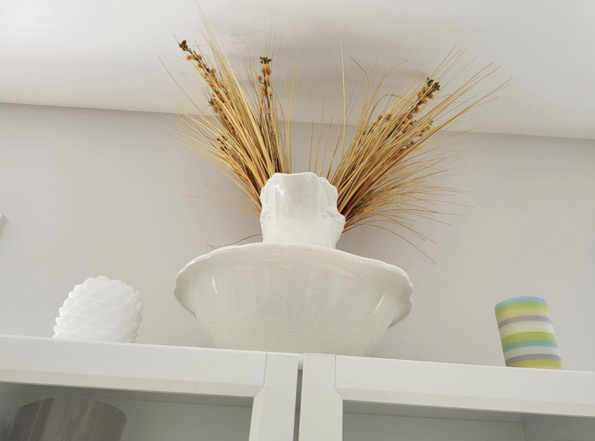 אוטווה 5 Star Home מראה חיצוני תמונה